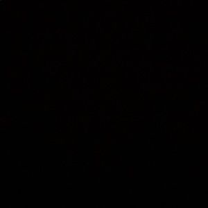 Meet your Posher, Sage